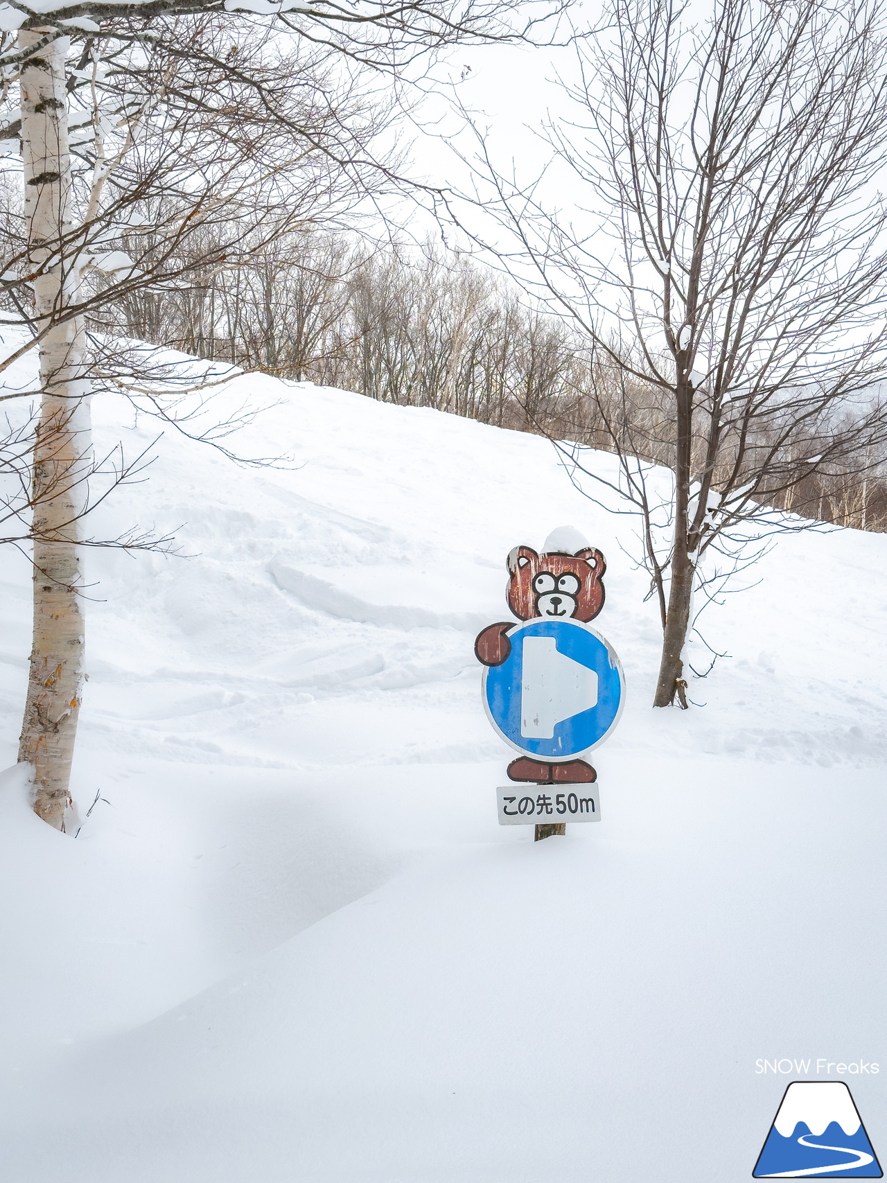 暑寒別岳スキー場｜日本海を眺めながら、2026年滑り初め！皆様、今年もどうぞよろしくお願いいたします。